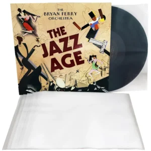 Simply Analog Antistatic HDP Inner Sleeves 12" (25 sztuk) - Antystatyczne Koszulki z HDP do Płyt Winylowych